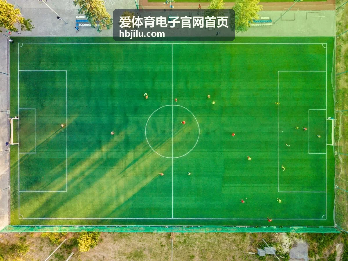爱体育电子官网首页运动监测知识中的心率区间划分示意